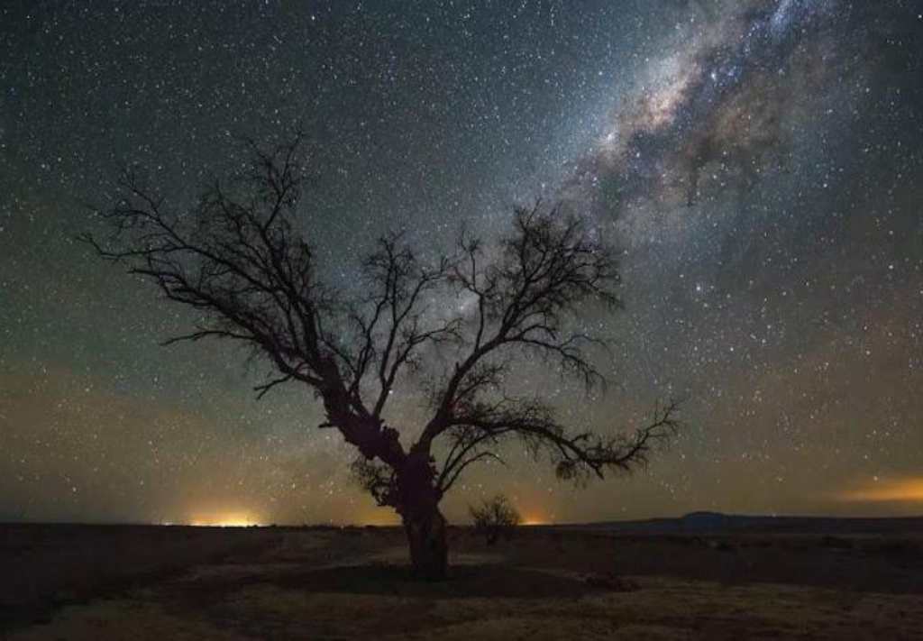 Camel Safari Jaisalmer
